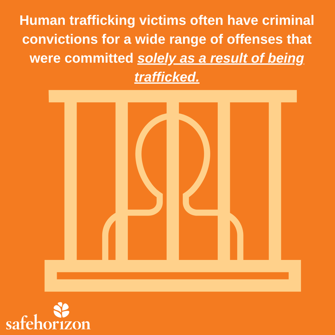 Safe Horizon | Cover_Criminal Records Human Trafficking