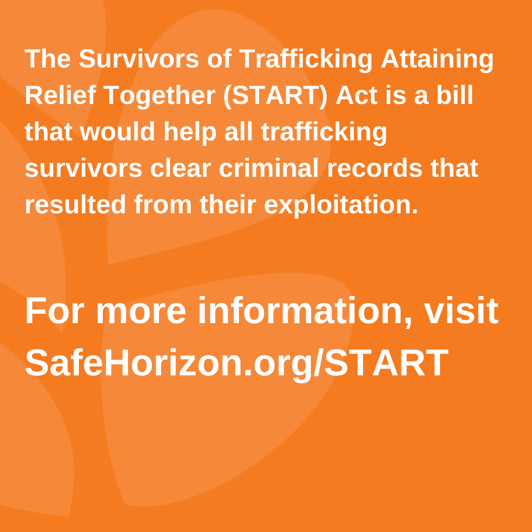Safe Horizon Endcriminal Records Human Trafficking 7684